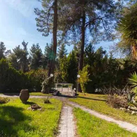 Pinewood Sea And Blue Sky Holiday home